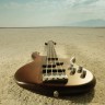 bass-guitar